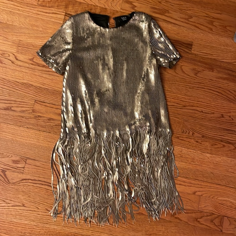 Vici Metallic Fringe Short Sleeve Top in Silver